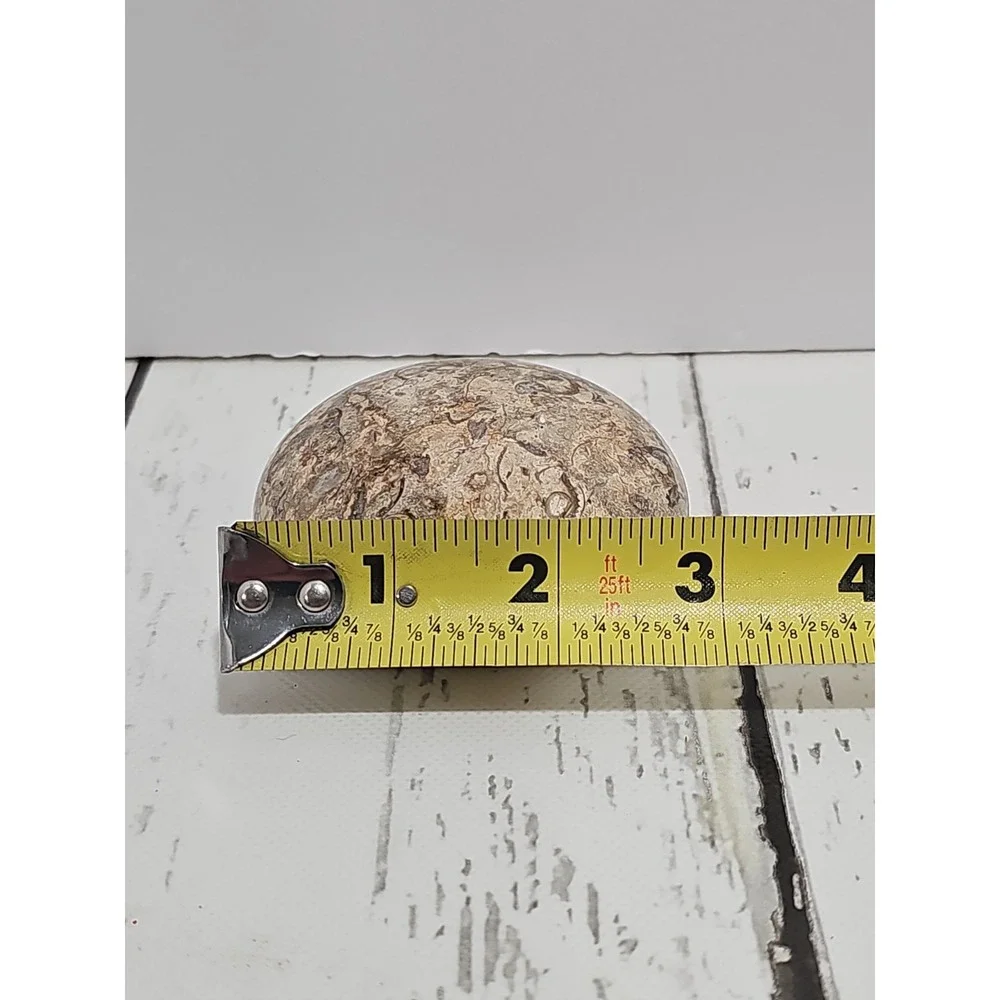 POLISHED SHELL FOSSIL PAPERWEIGHT. 3